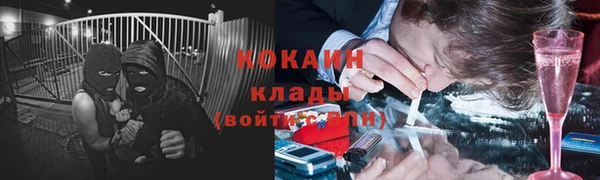 хмурый Лагань
