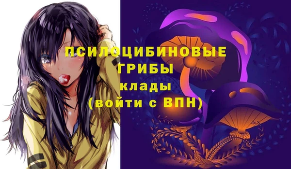 хмурый Лагань