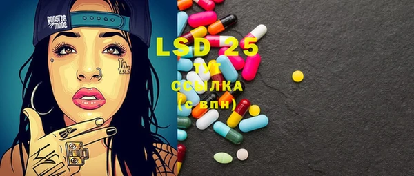 хмурый Лагань