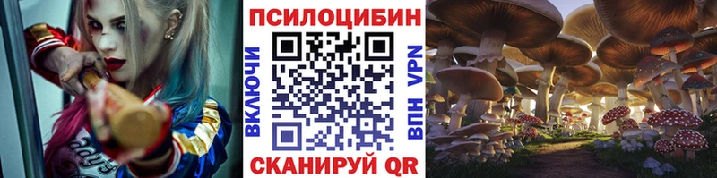 Псилоцибиновые грибы ЛСД Хасавюрт