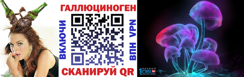 Псилоцибиновые грибы мицелий  Хасавюрт 