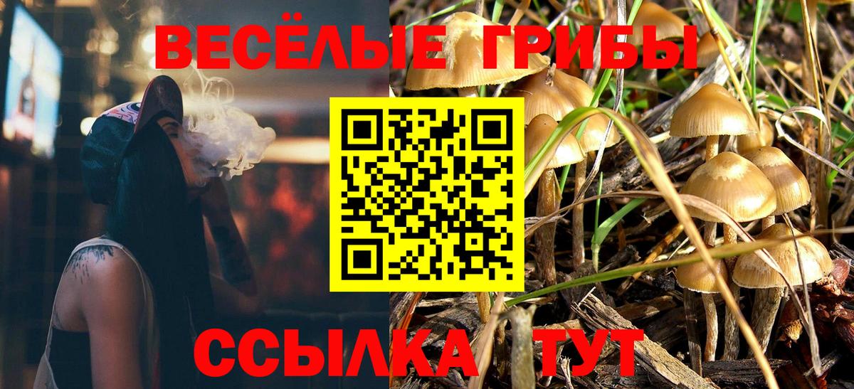 где купить наркотик  Вход с VPN  Хасавюрт  Галлюциногенные грибы MAGIC MUSHROOMS 